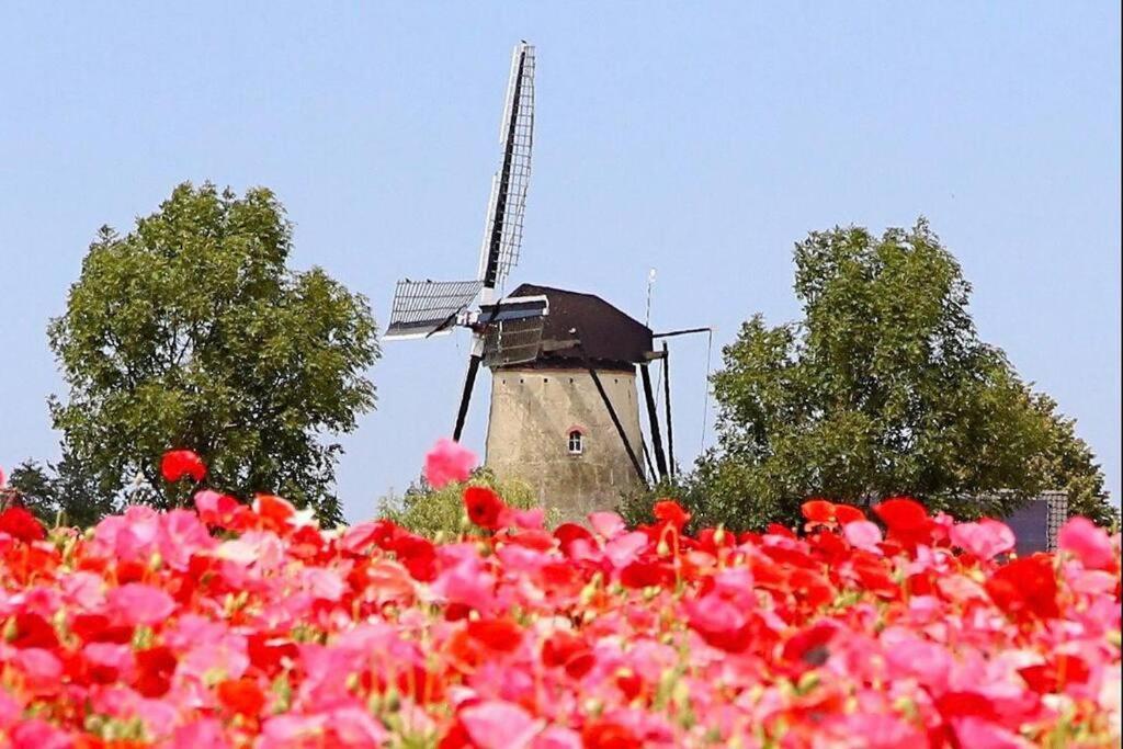 -Nieuw- Luxe & Sfeervol Vakantiehuis Tholen Exteriör bild
