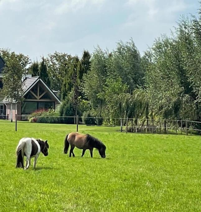 -Nieuw- Luxe & Sfeervol Vakantiehuis Tholen Exteriör bild